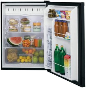 Compact Free-Standing Refrigerator